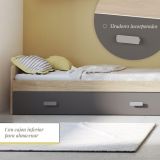 Cama Nido de Melamina Color Puccini Grafito